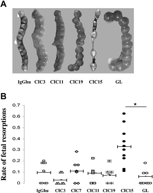 Figure 2. Effects of CIC maPLs on mouse pregnancy development. (A) Examples of macroscopic examinations of mouse embryos at day 10 after passive administration of maPLs or normal human IgG. (B) Rates of fetal resorptions after passive transfer of normal human IgG (n = 6), CIC3 (n = 7), CIC7 (n = 7), CIC11 (n = 6), CIC19 (n = 6), CIC15 (n = 10), and GL (n = 9). Horizontal brackets indicate mean values; horizontal bar with the star, statistical difference (P < .001).