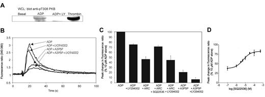 Figure 4. P2Y12 component of the calcium response is mediated through PI 3-kinase and inhibition of cAMP. (A) Platelets were preincubated with LY294002 (LY; 10 μM) or vehicle as control for 25 minutes and stimulated with ADP (10 μM) or thrombin (0.1 U/mL) for 3 minutes, as indicated. Reactions were stopped by addition of an equal volume of Laemmli sample solvent, and proteins from whole-cell lysates (WCLs) were separated by SDS-PAGE and blotted using the phospho-peptide-specific anti-pThr308 PKB antibody. (B-C) Fura 2-loaded platelets were incubated for 25 minutes with or without LY294002 (10 μM), followed by incubation for 5 minutes with a submaximal concentration of A3P5P (200 μM; B-C) or AR-C69931MX (1 μM; B), as indicated. Platelets were then stimulated with ADP (10 μM), and 340:380-nm fluorescence ratios were plotted (B) or the peak rise in cytosolic calcium was calculated and represented as a bar graph (C). For panel B, data are representative of 3 separate experiments and for panel C, data shown are mean ± SEM (n = 3). (D) Platelets were pretreated for 5 minutes with AR-C69931MX and various concentrations of the adenylate cyclase inhibitor SQ22536 for 25 minutes. The peak rise in cytosolic calcium in response to ADP (10 μM) is plotted against log concentration of SQ22536. Data shown are mean ± SEM (n = 3).