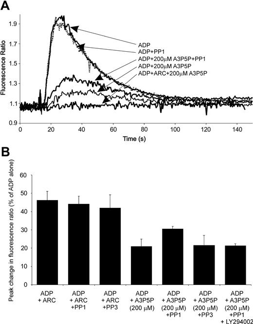 Figure 5. Src kinase inhibitor PP1 potentiates the P2Y12 component of the ADP-induced calcium response. Washed platelets previously loaded for 45 minutes with Fura 2-AM (3 μM) were incubated for 25 minutes with either PP1 (20 μM) or PP3 (20 μM) and/or 5 minutes with AR-C69931MX (1 μM) or A3P5P (200 μM), as indicated. (A) A time course of response representative of 3 separate experiments is shown. (B) The peak rise in intracellular calcium elicited by ADP (10 μM) was measured and plotted for each condition as indicated. Data shown are mean ± SEM (n > 3).