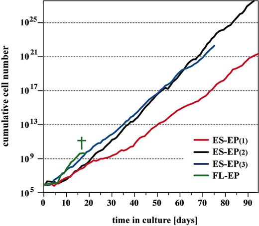 Figure 3. Long-term expansion of erythroid progenitors. Dissociated cells from day-6 and day-7 EBs and primary fetal liver cells derived from embryonic day 12.5 syngeneic mouse embryos were cultivated in serum-free erythroid medium. Cumulative cell number is plotted. † indicates senescence of FL-EP.