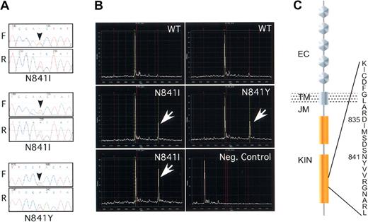 Figure 1. Novel missense mutations in the activation loop of FLT3. (A) Sequencing chromatograms of the N841I and N841Y missense mutations. The black arrows indicate the position of the heterozygote variant base. The forward (F) and the reverse (R) reads are shown. (B) Mass spectrometry–based genotyping detects the N841I and N841Y variants. Primer extension assays were developed for each variant nucleotide and extension reaction was carried out after PCR amplification of the target sequence. Wild-type and variant extension products, differing in mass as a result of differences in the extended length, were detected by matrix-assisted laser desorption time-of-flight mass spectrometry (MALDI-TOF). The white arrows indicate the variant peaks. The negative control represents the spectra of the extension probe in the absence of input DNA. (C) Schematic diagram of the FLT3 tyrosine kinase and the position of the novel missense mutations within the kinase activation loop. EC indicates extracellular domain; TM, transmembrane; JM, juxtamembrane; and KIN, kinase domain. The position of D835 is also shown for comparison.