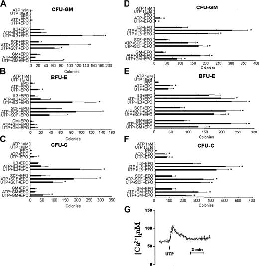 Figure 4. Extracellular nucleotides enhance the colony growth of G-CSF-primed and steady-state BM CD34+ cells stimulated by single cytokines, in presence of EPO, in serum-free cultures. A total of 1 × 104 PB (A-C) or BM (D-F) CD34+ cells were plated in semisolid medium under serum-free conditions. Optimal doses of ATP (1 nM) or UTP (10 μM) were added to the EPO-, GM-CSF/EPO-, IL-3/EPO-, and SCF/EPO-stimulated cultures. CFU-GMs (A,D), BFU-Es (B,E), and total CFU-Cs (C,F) were scored after 14 days of culture and the results represent the mean ± SEM of 4 different experiments. *P < .05. Cells were also loaded with fura-2/AM as reported in “Materials and methods” and stimulated with 10 μM UTP (G).