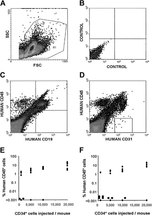 Figure 7. Quantitative SRC analysis in sublethally irradiated NOD/SCID mice injected with CD34+ cells cultured with UTP or control medium. (A) The gate used to exclude platelets, dead cells, and debris. (B) The negative control. (C) A representative evaluation of the presence of human lymphoid (CD45+CD19+) and myeloid (CD45+CD19-) cells in mice given transplants. (D) A representative evaluation of the presence of human endothelial (CD45-CD31+) cells in mice receiving transplants. Panels E and F show the percentage of human CD45+ cells in the marrow of mice given injections with increasing numbers of purified CD34+ cells (ranging from 1000 to 20 000) cultured as described in “Materials and methods” with UTP (E) or control medium (F; n = 6/study group). Each symbol represents the data from an individual mouse evaluated 60 to 90 days after transplantation. A limiting dilution analysis using the single-hit Poisson model and the maximum likelihood estimator38 was used to calculate SRC frequency in mice given transplants with CD34+ cells cultured with UTP or control medium. The Poisson statistic was further validated by χ2 analysis.
