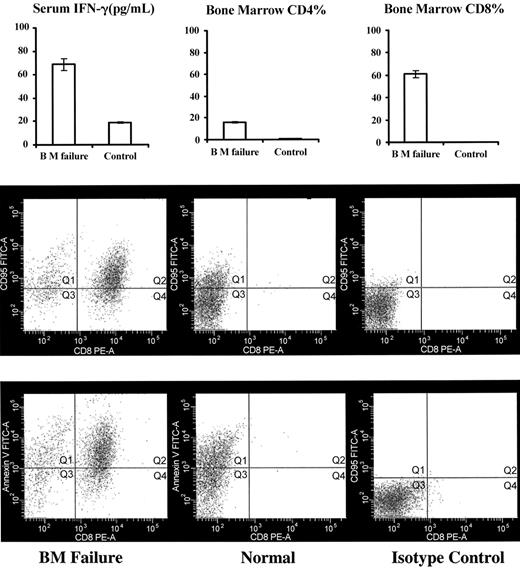 Figure 1. BM lymphocyte infiltration and Fas-mediated apoptosis in BM failure mice. Five CByB6F1 mice each received 5 Gy TBI and injections of 5 × 106 B6 LN cells to induce BM failure. Two CByB6F1 mice that received 5 Gy TBI without LN cell injection were used as controls. At 14 days, all mice were bled, and serum IFN-γ concentrations were analyzed using ELISA (top left). BM cells were analyzed by flow cytometry for the proportions of CD4 (top center) and CD8 (top right) lymphocytes, for the expression of CD95 (Fas, middle row), and for the binding to annexin V (bottom row). Data in the top row are presented as means with standard error bars.