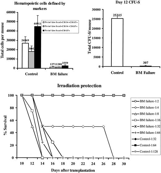 Figure 4. Elimination of BM hematopoietic progenitor and stem cells. BM Lin-Sca1+c-Kit+CD34+, Lin-Sca1+c-Kit+CD34-, and Lin-Sca1+c-Kit+ cell proportions from 15 control and 15 BM failure mice were each multiplied by the total number of BM cells of each mouse, assuming that 2 tibiae and 2 femurs contained 25% of total BM cells, to calculate total cell numbers (top left). Two BM cell pools, each from 3 BM failure mice, and BM cells from 2 untreated control mice were tested for day 12 CFU-S, shown as total CFU-S per mouse (top right). BM cells pooled from 4 BM failure CByB6F1 mice were serial diluted from 1:2 to 1: 64, whereas BM cells from 2 untreated CByB6F1 control donors were diluted from 1:32 to 1:128, and each cell dilution was used to rescue 4 or 2 lethally irradiated (10 Gy) recipients. Recipient survival was monitored for 2 months (for those that received control BM) but only shown for 30 days here (bottom). Data presented in the top row are means with standard error bars.