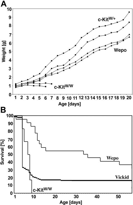 Figure 1. Survival of WEPO mice. (A) Growth of a single litter of 6 mice, including wild-type (c-KitW/+) (•), lethal c-KitW/W (▪), and WEPO (c-KitW/WEPO-tg) (▴) mice. The weight of each mouse was determined daily for 3 weeks. (B) Kaplan-Meier plot for the survival of WEPO mice (n = 24) and viable c-Kit-deficient mice (n = 238) (Vickid; a viable c-KitW/W line distinct from WEPO8). Of all WEPO mice, approximately 40% survived long term. In the Vickid mouse colony, the overall survival of all white (c-KitW/W) pups is approximately 15%.