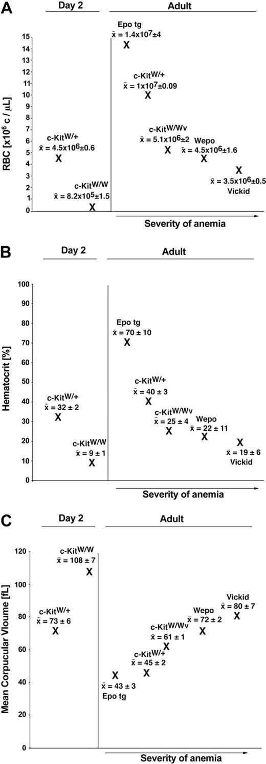 Figure 4. RBC parameters in WEPO mice. RBC counts (A), hematocrit (B), and MCV (C) were compared in 2-day-old wild-type (c-KitW/+) and mutant mice (c-KitW/W) and in adult EPO-tg, wild-type (c-KitW/+), and various c-Kit mutant mice (c-KitW/Wv, WEPO, and Vickid). For RBC and MCV values, mice were analyzed as follows: 2-day-old: wild-type (n = 8), c-KitW/W (n = 7); adult: EPO-tg (n = 6), wild-type (n = 16), c-KitW/Wv (n = 4), WEPO (n = 7), and Vickid (n = 6). For hematocrit values, mice were analyzed as follows: 2-day-old: wild-type (n = 7), c-KitW/W (n = 7); adult: EPO-tg (n = 55), wild-type (n = 16), c-KitW/Wv (n = 9), WEPO (n = 17), and Vickid (n = 7).