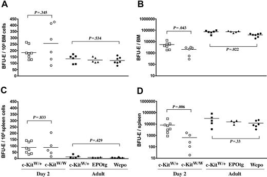 Figure 5. BFU-E in the BM and spleen. BM (A-B) and spleen (C-D) of 2-day-old c-KitW/+ (□) and c-KitW/W (○) and adult c-KitW/+ (▪), EPO-tg (▴), and WEPO (•) mice were analyzed. Frequencies of BFU-Es per 105 Ter119neg/Low cells (enriched for progenitors) (A, C) and total numbers of BFU-Es per each organ are shown. Total BM cells correspond to the cells from 2 femura. Two-tailed P values were determined according to the Mann-Whitney U test. Brackets and corresponding P values are indicated for the compared groups. Horizontal black lines indicate mean colony numbers.