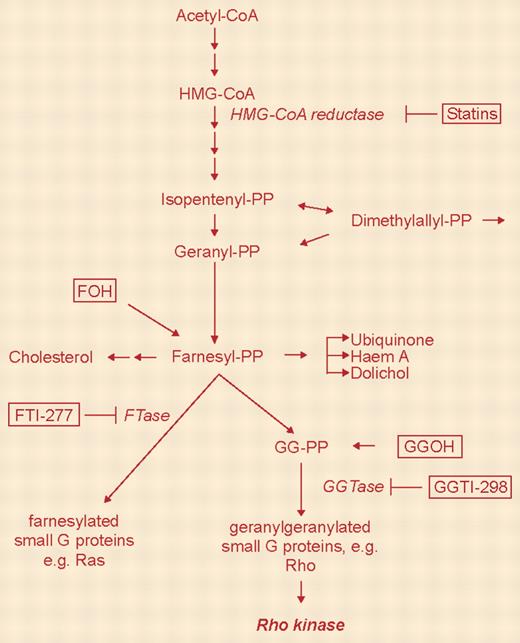 The mammalian mevalonate pathway. See the complete figure in the article beginning on page 1825.