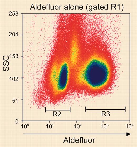 Identification and isolation of purified ALDHhiLin- and ALDHloLin- cell populations. See the complete figure in the article beginning on page 1648.