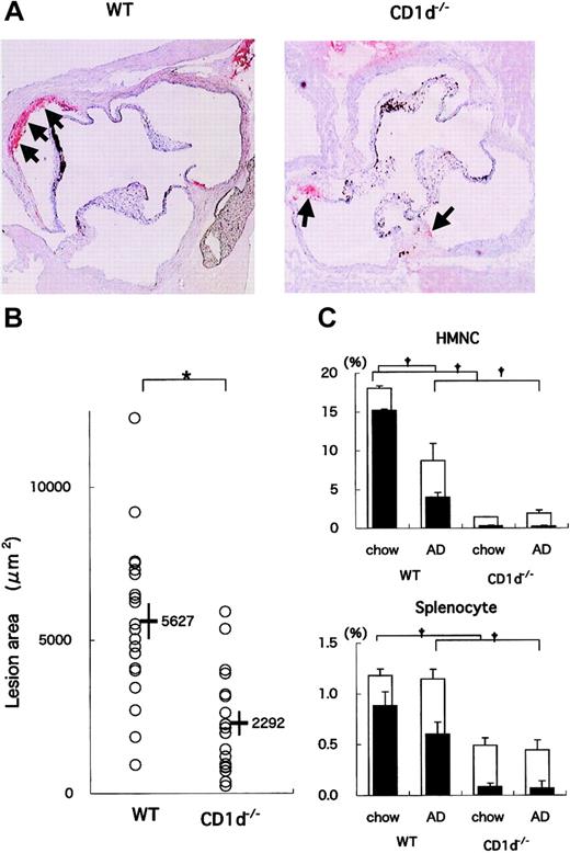 Figure 1. Atherosclerotic lesion areas in WT and CD1d-/- mice fed on the AD. (A) Representative histologic sections of WT and CD1d-/- mice fed on the AD. Arrows represent the oil red O-positive atherosclerotic lesions typically observed within the internal elastic lamina (original magnification, × 40). (B) Mean lesion areas of WT and CD1d-/- mice. Each symbol represents the lesion area of an individual mouse. Horizontal bars and numbers represent the mean of all mice within each group, and vertical bars represent SEM. (C) Prevalence of NKT cells in WT and CD1d-/- mice. HMNCs and splenocytes were prepared and stained with FITC anti-TCRαβ, PE anti-NK1.1, and APC-CD1d/α-GalCer tetramer, as described in “Materials and methods.” Open columns represent the proportion of total NKT cells, and closed columns represent the proportion of CD1d/α-GalCer tetramer+ cells. Each value represents the mean ± SE calculated from more than 5 experiments. Statistical analyses were performed with the Mann-Whitney U test. †P < .01 (for closed columns and open columns); *P < .05.