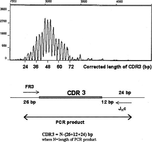 Figure 7. Elevated CD20+ cell numbers in the peripheral blood of WM patients during the stable phase of disease are polyclonal B cells. CDR3 of unfractionated peripheral blood B cells was analyzed by RT-PCR using FR3 and fluorescence-labeled JHc primer (Table 2) and DNA fragment analysis using capillary electrophoresis. The PCR product includes 26 bp upstream and 36 bp downstream of CDR3. Corrected length of CDR3 is as indicated.