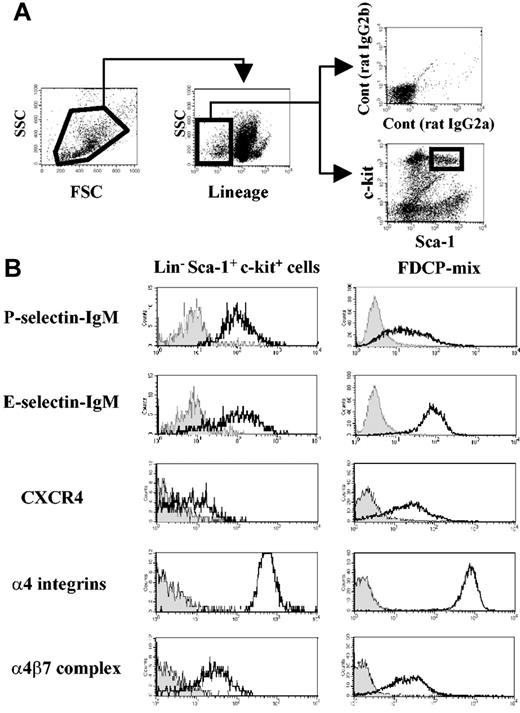 Figure 1. Mouse hematopoietic progenitor cells express α4β7 integrin complex. (A) Flow cytometry gating of bone marrow–derived Lineageneg Sca-1pos c-kitpos (LSK) cells. (B) Selectin ligands, CXCR4, and α4 integrin expression on bone marrow LSK cells and on FDCP-mix mouse progenitor cell line. Filled histograms represent negative controls from isotype-matched staining or selectin chimeric protein staining in the presence of 5 mM EDTA (ethylenediaminetetraacetic acid). Geometric mean values obtained after subtraction of isotype-matched control values from 3 independent experiments were as follows: LSK cells, 576 ± 33 for α4 integrins and 31 ± 7 for α4β7 integrin; FDCP-mix cells, 656 ± 37 for α4 integrins and 18 ± 7 for α4β7.