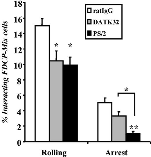 Figure 3. Role of α4 integrins in the interactions of the FDCP-mix progenitor cell line with the bone marrow microvasculature. Fluorescently labeled FDCP-mix cells preincubated with control rat IgG (□), anti-α4β7 integrin antibody (clone DATK32; ▦), or anti-α4 integrins (clone PS/2; ▪) were injected into lethally irradiated E-selectin–deficient mice. The fractions of cells rolling or arrested on the BM microvasculature were determined by analysis of video recordings from fluorescence intravital microscopy experiments. n = 6 mice; *P < .05; **P < .01 compared with the rat IgG control group or between indicated 2 groups. Data are presented as means ± SEM.