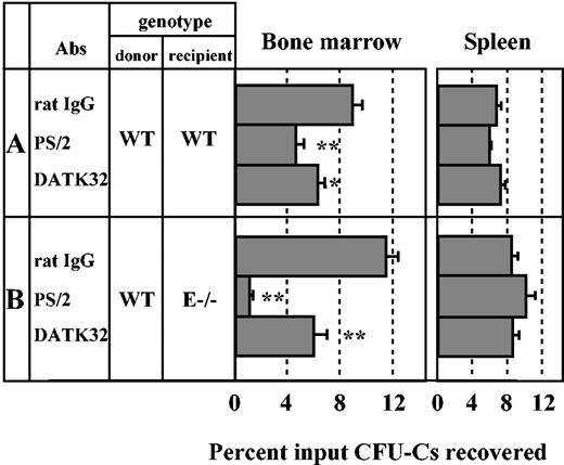 Figure 4. Role of α4β7 in progenitor homing to bone marrow. Lethally irradiated wild-type (WT) or E-selectin–deficient mice (E–/–) were injected with antibody-treated wild-type donor BM cells. CFU-Cs were determined from the recipient BM and spleen that were harvested 3 hours after injection. (A) Transplantation of donor cells treated with rat IgG, anti-α4 integrins (PS/2), or anti-α4β7 (DATK32) into WT recipient mice. n = 8-12 mice per group for BM and n = 6-8 for spleen. (B) Transplantation of antibody-treated donor cells into E–/– recipient mice. n = 6 per group. *P < .05; **P < .01 compared with rat IgG control group. Data are presented as means ± SEM.