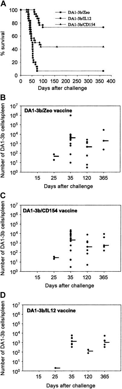 Figure 1. Quantification of minimal residual leukemic disease in the DA1-3b/C3H mouse model. (A) Survival curves. C3H/Hej mice were vaccinated with irradiated DA1-3b leukemic cells that had been transduced with IL12 (DA1-3b/IL12), CD154 (DA1-3b/CD154), or control empty plasmid (DA1-3b/Zeo), and the mice were subsequently challenged with 104 wild-type DA1-3b cells. (B-D) Number of residual leukemic cells in the spleen of mice treated as described in panel A at selected times after challenge. Horizontal mark represents the median.