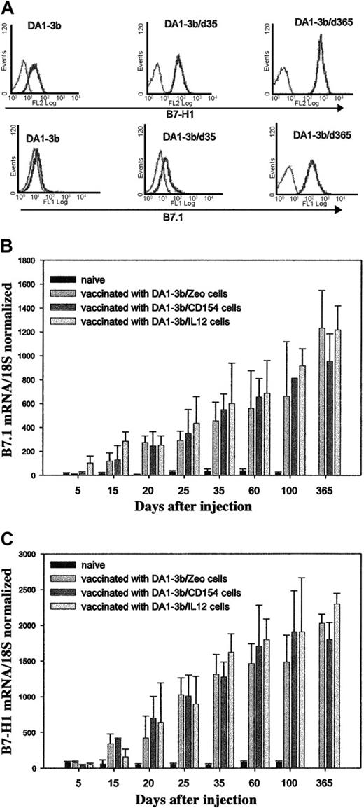 Figure 3. Quantification of B7.1 and B7-H1 in persistent leukemic cells. (A) Time course of B7.1 and B7H-1 expression by persistent leukemic cells measured by flow cytometry. Thin lines indicate isotype control. (B-C) Real-time PCR quantification of (B) B7.1 mRNA and (C) B7-H1 mRNA in persistent leukemic cells taken from naive mice or mice that had been vaccinated with DA1-3b cells transduced with various plasmids. Error bars indicate standard deviation.
