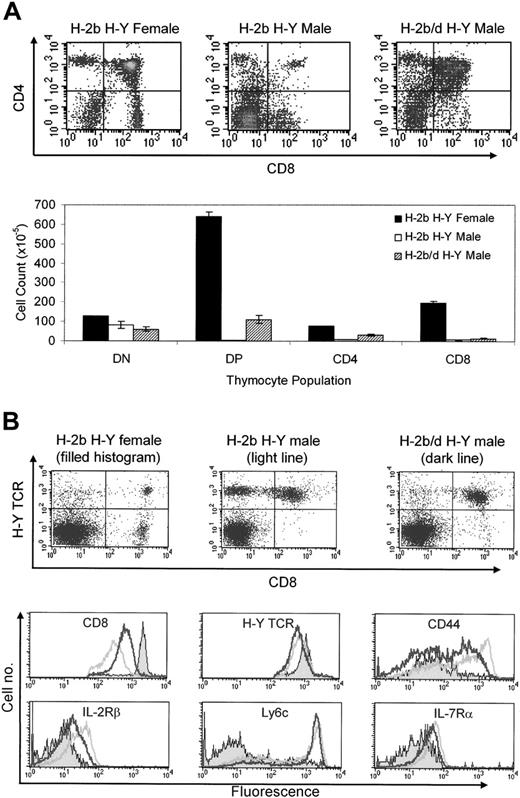 Figure 1. CD8+ T cells from antigen-expressing H-Y TCR transgenic mice possess an activated/memory phenotype. (A) The dot plots depict the CD4 and CD8 profile of thymocytes from H-2b H-Y female, H-2b H-Y male, and H-2b/d H-Y male TCR transgenic mice. The bar graph depicts the mean number of double-positive (DP), double-negative (DN), and CD4 and CD8 single-positive (SP) cells recovered from these mice with the error bars representing one standard deviation. (B) The expression of CD8 and the H-Y TCRα by lymph node cells from the mice in panel A. The histograms depict the expression of the indicated cell surface markers by gated H-Y TCR+ CD8+ T cells.