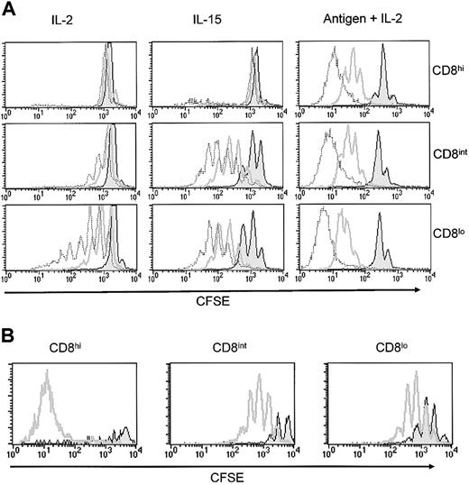Figure 3. The extent of the memory phenotype of H-Y CD8 T cells determines their ability to respond to cytokines in vitro as well as their ability to undergo homeostatic expansion in vivo. (A) Purified CD8+ T cells from female H-2b H-Y (CD8hi), male H-2b H-Y (CD8lo), or male H-2b/d H-Y (CD8int) mice were labeled with CFSE and cultured with IL-2 (200 U/mL), IL-15 (100 ng/mL), or H-Y peptide (1 μM), B6-Tap1-/- splenocytes (1 × 107), and IL-2 (20 U/mL). Proliferation of gated H-Y TCRα+ CD8+ cells was analyzed by FACS at 48 (filled histogram), 72 (dark line), and 96 (light line) hours with each CFSE peak representing one cell division. (B) Purified CD8hi, CD8int, and CD8lo cells were CFSE labeled and transferred into sublethally irradiated B6 female (filled histogram) or male (unfilled histogram) recipients. CFSE profiles of gated CD8+ H-Y TCR+ cells 7 days after transfer are shown in the histograms.