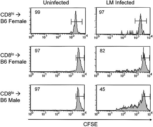 Figure 4. Role of antigen and bacterial infection in the expansion of H-Y male CD8lo cells in vivo. Purified CD8hi and CD8lo cells were labeled with CFSE and injected into the indicated nonirradiated Thy1.1 congenic B6 male or female mice. The mice were then infected with LM (right panels) or left uninfected (left panels). On day 5, the expansion of labeled CD8hi and CD8lo cells in the spleens of infected or uninfected mice was analyzed by FACS. The numbers in the histograms represent the percentage of undivided cells.