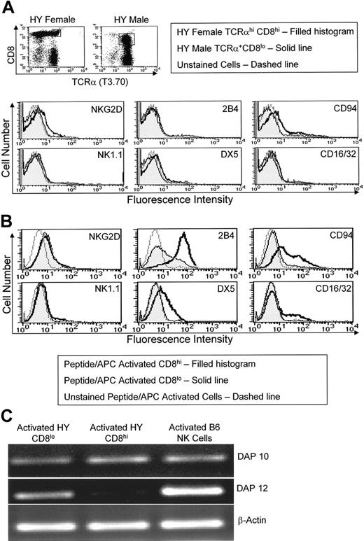 Figure 5. Activated H-Y male CD8lo cells expressed NK receptors and DAP12 after activation. (A) Lymph node cells from H-Y male and female mice were depleted of CD4+Ig+ cells and stained with the indicated antibodies. The histograms represent the expression of the indicated cell surface markers by gated female H-Y TCRα+ CD8+, male H-Y TCRα+ CD8+, or unstained cells. (B-C) Sorted CD8+ H-Y TCRα+ male or female cells (1 × 106) were cultured with irradiated B6-Tap-/- (1 × 107) splenocytes + H-Y peptide (1 μM) and IL-2 (20 U/mL) for 4 days. (B) Histograms represent the expression of the indicated cell surface markers by gated CD8hi, CD8lo, or unstained cells on day 4. (C) PCR using primers specific for DAP10, DAP12, or β-actin on cDNA from antigen + IL-2-activated CD8hi and CD8lo cells and IL-2-activated B6 NK cells.