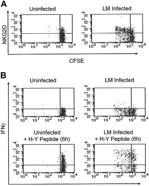 Figure 7. Bacterial infection primes CD8lo cells in vivo. Purified CD8lo cells were labeled with CFSE and injected into nonirradiated B6.Thy1.1 male recipients. At 24 hours after transfer, the mice were infected with LM or left uninfected. (A) The plots represent the CFSE and NKG2D profiles of gated CD8lo T cells on day 5 in either uninfected (left) or LM-infected (right) mice. (B) Spleens from day-5 infected or uninfected mice were cultured with a Golgi inhibitor in the presence or absence of H-Y peptide (1 μM). After 6 hours of incubation, the cells were fixed and stained with anti-IFNγ, anti-H-Y TCR, and anti-CD8 mAbs. The dot plots depict the CFSE and IFNγ profiles of gated H-Y TCR+ CD8+ cells.