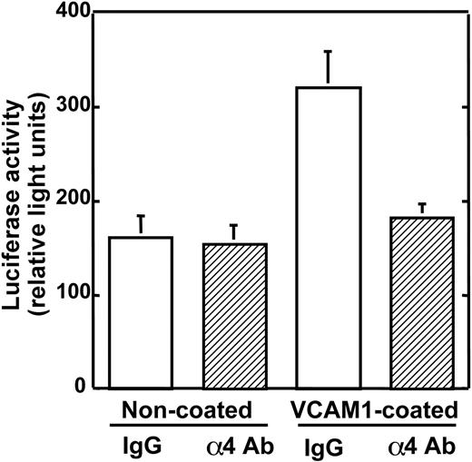 Figure 2. Effects of anti-α4 Ab on 5TGM1/luc cell growth in culture. 5TGM1/luc cells were cultured on noncoated wells or rsVCAM-1-coated wells for 48 hours. Anti-α4 Ab blocked the stimulatory effect of VCAM-1 on the growth of 5TGM1/luc. Data are means ± SEM (n = 4).