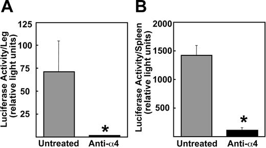 Figure 4. Effects of preventative administration of the anti-α4 Ab on tumor burden in hindlimbs and in spleen. Mice were killed at day 23. Luciferase activity was measured as described in “Materials and methods.” Data are mean ± SEM (n = 5). *Significantly different from untreated group.