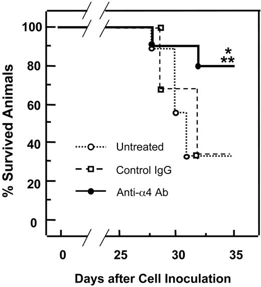 Figure 7. Effects of preventative administration of the anti-α4 Ab on survival of 5TGM1/luc myeloma-bearing mice. Survival was assessed by Wilcoxon test. Data are mean ± SEM of 2 separate experiments (n = 10 × 2 = 20). *Significantly different from untreated group. **Significantly different from control IgG.