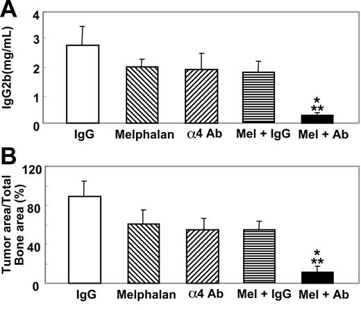 Figure 8. Effects of therapeutic administration of the anti-α4 Ab combined with melphalan on serum IgG2b levels and 5TGM1/luc tumor burden in bone. Anti-α4 Ab and melphalan were given as described in Figure 1. Data are mean ± SEM of 2 separate experiments (n = 8 × 2 = 16). *Significantly different from control IgG. **Significantly different from anti-α4 Ab or melphalan alone.