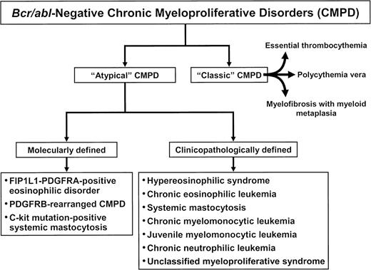 Figure 1. Operational classification of bcr/abl–negative chronic myeloproliferative disorders.