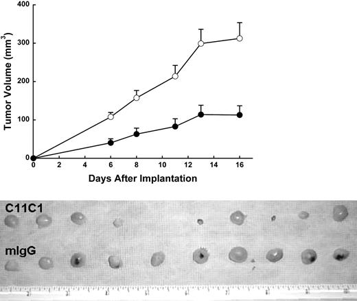 Figure 3. Human colon carcinoma (HCT-116) growth response to different mAb treatments in nude mice. (Top) Each mouse was treated systemically with 320 μg mIgG (○) and 320 μg mAb C11C1 (•). Data are mean ± SEM. The treatment was administered intraperitoneally every 2 days for 16 days. The C11C1 mice showed a tumor growth plateau from days 13 to 16, whereas the group receiving mIgG continued to grow. The difference in volume was statistically significant at all points mIgG versus C11C1 (P < .003). (Bottom) Note that the C11C1-treated group had smaller, paler tumors, whereas the mIgG group had larger tumors and hemorrhagic foci. Nine of 10 mice had tumors at the time of autopsy (day 16) versus 10 of 10 in the mIgG group. The decrease in weight in the C11C1 group was statistically significant (P = .0012). The ruler in the picture measures inches.
