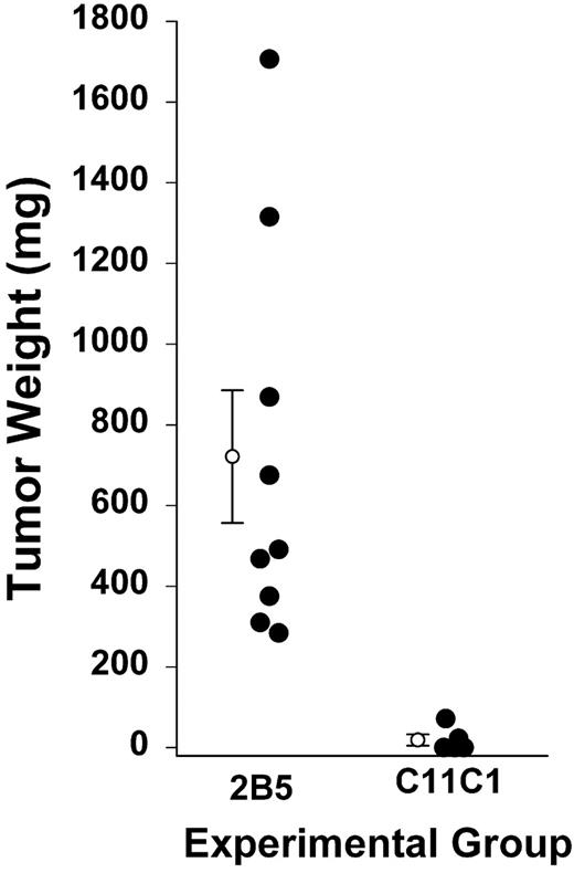 Figure 6. Tumor growth of intramuscular hybridomas. Hybridomas were excised on day 11 of treatment and weighed. Solid circles represent the hybridoma weight from each animal. The open circles with error bars are mean ± SEM; n = 9 and n = 5, respectively, for mAb 2B5 and mAb C11C1 (P = .015). An additional 15 animals treated with mAb C11C1 had no apparent tumor growth and were not killed until day 22, at which time no tumors were found.