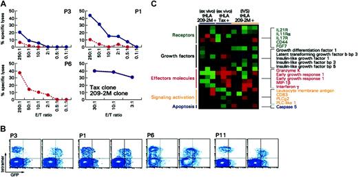 Figure 2. Cytotoxic potential of immunization-induced T cells ex vivo and after IVS. (A) Cytotoxic activity ex vivo (red dashed line) and after IVS (blue solid line) for 3 patients including patient 6 (P6) who demonstrated perforin expression ex vivo (Figure 3A). Cytotoxicity is portrayed at different effector-to-target ratios and as specific killing (relevant versus irrelevant lysis of target cells). In no case was irrelevant killing above 5%. In the bottom panels, cytotoxicity by a 209-2M specific (red dashed line) and a Tax-specific (blue line) clone is shown for comparison. (B) Uptake of GFP/HLA-peptide complexes is shown for 3 patients with melanoma (P3, P1, P6) and one HAM patient (P11); for each patient the left scatter plot shows the uptake when an irrelevant peptide (gag peptide) is used for stimulation. On the right the uptake is shown when 209-2M or Tax, respectively, is used for pulsing of GFP/HLA complex-transduced HmyA2GFP cells. (C) Differential expression of genes associated with T-cell activation between antigen-specific CD8+ T cells from 3 patients with melanoma (209-2M-specific) ex vivo or after IVS and patients with HAM (Tax-specific). Shown genes are those that were significantly differentially expressed (unpaired, two-tailed Student t test; P2 < .05) between the immunization-induced (209-2M–specific) CD8+ T cells ex vivo in 3 patients with melanoma and the Tax-specific CD8+ T cells in 3 patients infected with HTLV-1. Only immune-relevant genes are shown.