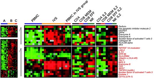 Figure 4. Differences in expression of genes associated with T-cell activation between circulating and IVS CD8+ T cells. Significant differences in individual gene expression (unpaired, two-tailed Student t test; P2 < .001) between circulating (A) and IVS-induced (B) CD8+ T cells. Statistical analysis was performed comparing 10 circulating lymphocyte samples with 11 IVS samples. Because 3 samples from circulating CD8+ T cells clustered with IVS-induced T cells (Figure 3C), a third group (C) was analyzed separately. Genes that were differentially expressed between group A and B (total of 761) were subdivided into 2 groups: one included genes specifically expressed in group B (unpaired, two-tailed Student t test; P2 < .05 between A and C) and one included genes commonly expressed between groups B and C (unpaired, two-tailed Student t test; P2 < .05). Genes associated with T-cell activation or functions are shown. As a comparison, on the right panels, the transcriptional profile of purified circulating cell subsets including CD4+, CD8+ memory, CD8+ effector T cells, and NK cells is shown ex vivo or after in vitro IL-2 conditioning.