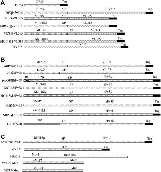Figure 1. Schema of constructs used in the study. Genes for mature sequences of murine MIP-3α and DF2β, or viral chemokines vMIP2, MC148, and US83 were fused in-frame with DNA encoding either sFv38 from 38C13 or VL from MOPC315 mouse B-cell tumors. B-cell lymphoma patient LF's sFv (sFvLF) was fused with human MIP-3α (hMIP3αsFvLF). Control constructs encoded chemokines with point mutation, which abrogated chemokine receptor binding (MIP3αM-VL315, MC148M-VL315, MC148M-sFv38, hMDCM-sFv3816 and vMIP2M-sFv38, respectively), or chemokine genes fused with an irrelevant antigen, human breast cancer Muc1 (vMIP2-Muc1 and MCP3-Muc115,16), or inactive pro–β-defensin 2 (proDF2βsFv3816). To enable purification and detection, c-myc and His peptide tags were fused to COO end of constructs (Tag). For DNA vaccines (not shown), fusion constructs were in-frame fused with signal sequence (SL) from murine IP-10 gene or contained native SL (vMIP2 and MC148 constructs only) to enable protein secretion, and constructs were cloned in pcDNA3.1 (Invitrogen).15,16 Spacer fragment (SP) was inserted between chemoattractant and antigen moieties to enable proper folding of the proteins. Recombinant proteins are depicted for (A) MOPC315 plasmacytoma construct; (B) 38C-lymphoma construct; and (C) human lymphoma or other constructs.