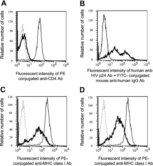 Figure 1. Expression of CD4, HIV p24 antigen, and MHC class I molecules on HIV-infected primary CD4- T-cell blasts. HIV-1SF162-infected primary T-cell blasts were depleted of CD4+ cells before their use as target cells in the cytotoxicity assay. CD4-depleted HIV-infected cells (bold lines) were stained with fluorochrome-conjugated anti-CD4 antibody (A,C) or human anti-HIV p24 antibody, together with fluorochrome-conjugated goat anti-human IgG antibody (B,D). Cells were then stained with fluorochrome-conjugated anti-MHC class I antibody (C-D). As controls, uninfected CD4+ T cells (thin solid lines) were also stained with the same antibody. MHC class I molecules expressed on 104 uninfected CD4+ control cells (C-D), 104 HIV p24 antigen-positive cells (D), and 104 CD4- cells (C) were determined. Dotted lines indicate isotype control antibody (Ab).