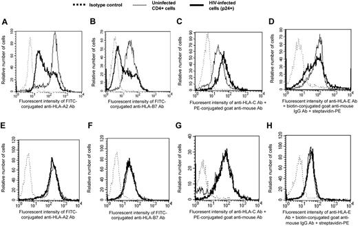 Figure 3. Expression of various types of MHC class I molecules on T-cell blasts infected with different HIV strains. HIV-1SF162-infected (A-D) and HIV-1SF33-infected (E-H) T-cell blasts were stained with human anti-HIVp24 capsid antibody (Ab) and FITC- or PE-conjugated goat anti-human IgG antibody. Levels of HLA-A2 (A,E), -B7 (B,F), -C (C,G), and -E (D,H) on the surfaces of infected cells (HIV-1 p24 antigen-positive) and uninfected cells were determined after flow cytometric analysis of cells stained with the corresponding mouse anti-human HLA class I antibody. Histograms were gated on 104 infected HIV p24 antigen-positive cells (heavy solid lines) and were compared with 104 uninfected CD4+ cells (solid lines). Results are representative of 3 separate experiments. Negative controls (dashed lines) consisted of either FITC-conjugated isotype-specific IgG (A-B, E-F), PE-conjugated goat anti-mouse IgG antibody in the absence of primary antibody (C,G) or biotin-conjugated goat anti-mouse IgG antibody and PE-conjugated streptavidin (D,H) in the absence of primary antibody.