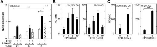 Figure 3. Induction of NO by EPO in TrHBMECs. (A) An increase in NO production was observed at one hour in cells cultured at 21% and 2% O2 in the presence of EPO (5 U/mL) (▪) compared with no EPO (□) (***P < .001; *P < .05), and was inhibited by L-NAME (1 mM; ▨), an inhibitor of NO synthase activity. (B) NO production was determined after one hour of treatment with different concentrations of EPO (1, 5, and 10 U/mL) at 21%, 5%, and 2% O2. Response was most pronounced at 2% O2. EPO induction of NO was maximal at 5 U/mL. (C) NO production at 2% O2 with EPO after 30 minutes and 4 hours of EPO stimulation was also maximal at 5 U/mL EPO (***P < .001). Error bars represent SD.
