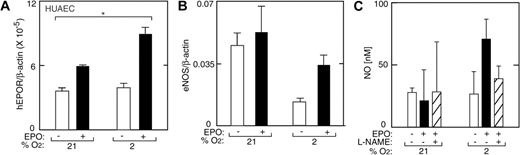 Figure 7. EPO induction of EPOR, eNOS, and NO in HUAECs. (A) EPO (▪) in combination with low oxygen tension (2% O2) increased EPOR expression in primary HUAECs compared with no EPO (□) at 21% O2 (*P < .05). Results were normalized to β-actin expression. (B) In the absence of EPO, expression of eNOS at 2% O2 was less than one-half of the value under normoxia. However, EPO (solid bars) reversed the decrease in eNOS expression at low oxygen tension. Results were normalized to β-actin expression. (C) NO production was measured in HUAECs as released nitrite after one hour of stimulation with EPO (5 U/mL) (▪) and without EPO (open bars). L-NAME (▨) suppressed the EPO response. Error bars represent SD.