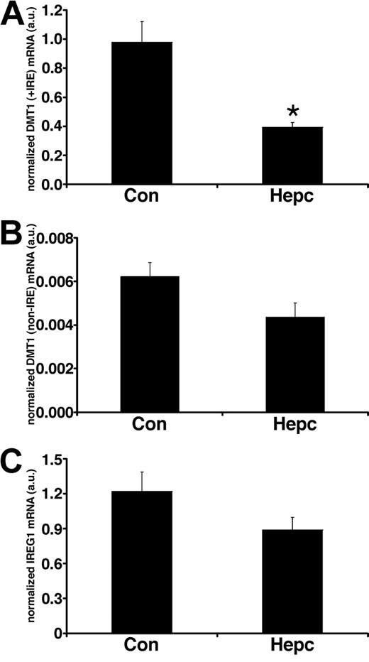 Figure 2. Real-time PCR analysis of iron transporter transcripts following hepcidin treatment. Real-time PCR analysis of total RNA isolated from Caco-2 TC7 cells demonstrated that DMT1 (+IRE) mRNA levels were significantly decreased following exposure to hepcidin for 24 hours (*P < .005, Student unpaired t test), whereas DMT1 (non-IRE) (P > .08) and IREG1 (P > .1) mRNA levels were unaffected by hepcidin treatment. Quantitative measurements for each transporter mRNA were derived from a standard curve constructed from known amounts of PCR product. Data have been normalized to the expression of the housekeeper gene HPRT and are expressed as means ± SEM from 6 separate experiments.