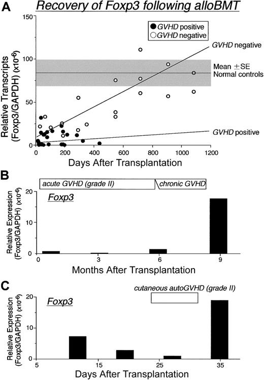 Figure 3. Recovery of Foxp3 expression following BMT. (A) Changes in the Foxp3 mRNA expression in PBMCs from 34 patients following alloSCT. Three of 8 patients without GVHD were serially evaluated at 18, 24, 30, and 36 months after BMT, and patients with GVHD were assessed at time of first diagnosis; (•) indicates GVHD positive; (○), GVHD negative. Changes in Foxp3 expression over time were assessed in PBMCs from 2 representative patients with GVHD following BMT. Gray zone indicates mean ± SE of 10 healthy controls. Regression lines indicate correlation with GVHD (top: negative, bottom: positive). (B) Patient received transplant from a partially HLA-mismatched related donor developed severe continuous alloGVHD. (C) Patient developing autoGVHD after autoBMT and autoGVHD induction treatment. Relative expression of Foxp3 mRNA levels normalized against GAPDH was determined by real-time PCR.