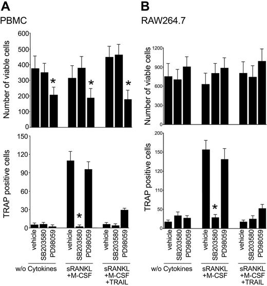 Figure 7. Effect of pharmacologic inhibitors on osteoclastic differentiation. Adherent PBMCs (A) and RAW264.7 cells (B) were cultured in the absence of cytokines or with RANKL plus M-CSF with or without TRAIL. Cultures were preincubated with vehicle (0.1% DMSO), PD98059 (20 μM), SB203580 (10 μM) prior to the addition of cytokines. After 10 days, the number of viable cells and the number of TRAP-positive multinucleated cells were scored. Data represent the means ± SD of 4 different experiments (*P < .05, inhibitor vs vehicle).