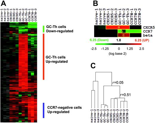 Figure 2. The overall gene expression profile of GC-Th cells (GC-Th) versus naive CD4+CD45RA+ (naive), CD4+CXCR5+CCR7+ “early memory” (CXCR5), and CD4+CCR7– “effector memory” (CCR7N) CD4+ cells. (A) Depicted are the 20 000 measurements of gene expression filtered from 12 microarray analyses of the 4 T-cell subsets (3 independent arrays per subset using cells from different donors, indicated as 1-3). Hierarchical clustering was performed to arrange genes based on their patterns of expression. Each row represents a separate cDNA clone on the microarray and each column a separate mRNA or T-cell subset. The results presented represent the ratio of hybridization of fluorescent cDNA probes prepared from each mRNA sample isolated from naive or memory/effector cells to reference mRNA samples from naive CD4+ T cells. These ratios are measures of relative gene expression in each mRNA sample and were depicted according to the color scale shown at the right. As indicated, the scale extends from fluorescence ratios of 0.25 to 6.25 (–2.5 to +2.5 in log base 2 units). Gray indicates missing or excluded data. (B) Individual expression patterns of several marker genes in the T-cell subsets. beta indicates beta-1,3-glucoronyltransferase 1. (C) Relationship between T-cell subsets as a function of similarity of gene expression programs shown in hierarchical dendrogram. Average linkage clustering based on Pearson correlation was performed to compare similarities among the T-cell subsets. The r values represent the correlation between gene expression profiles of T-cell subsets (+1 being a perfect positive linear relationship, 0 meaning no linear relationship, and –1 being a perfect negative linear relationship).