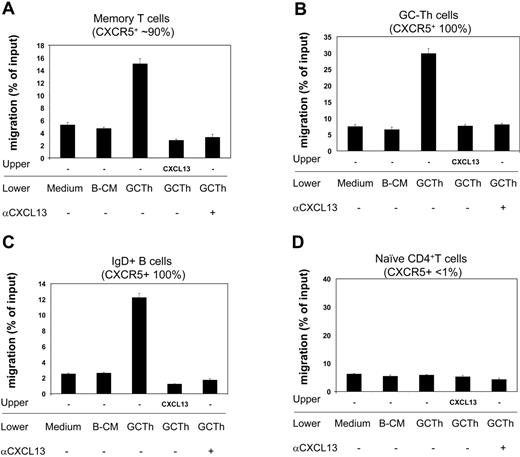 Figure 6. GC-Th cell–derived chemoattractants attract CXCR5+ T and B cells in a CXCL13-dependent manner. Conditioned media obtained from culture of GC-Th cells (shown as GC-Th) were used for chemotaxis assays. Fresh uncultured (medium) and conditioned media from GC-B cell cultures (B-CM) in the presence of SEB were used for negative controls. CXCL13 was added to upper chambers at 5 μg/mL. Anti-CXCL13 (or control antibody) was added at 25 μg/mL to lower chambers. The isotype control antibody did not inhibit the chemotaxis (not shown). After chemotaxis, the migrated cells were stained with fluorescent antibodies (anti–CD57-FITC, anti–IgD-PE, anti–CD4-PerCP, and anti–CD45RA-APC) to identify and numerate various tonsil lymphocyte subsets: CD4+CD45RA–CD57– memory T cells, CD4+CD57+ GC-Th cells, IgD+ naive B cells, and CD4+CD45RA+ naive T cells. The numbers of cells in the lower chambers (migrated cells) and in input cells were determined by FACS. Data are shown as percent migration of the indicated subsets. The error bars are the differences of duplicated experiments. Representative data from 3 independent experiments are shown.