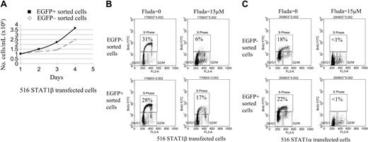 Figure 5. Cell cycle analysis of CKR516-STAT1β– and CKR516-STAT1α–transfected cells treated or not treated with fludarabine. EGFP-positive and -negative cells were sorted by fluorescence-activated cell sorting (FACS) as for Figure 4A, after treatment of the cells with 0.6 μg/mL doxycycline for 24 hours. (A) Difference in proliferation rates of the EGFP-positive and -negative purified cells from CKR516-STAT1β–transfected cells. The 2 cell populations were grown in the presence (▪) or absence (⋄) of doxycycline over 4 days and were counted each day. The experiment was repeated twice. (B) Resistance to fludarabine-induced inhibition of cell proliferation in CKR516-STAT1β–transfected cells. EGFP-positive and -negative cell populations were purified by FACS after doxycycline treatment and were further treated or not treated with 15 μM fludarabine for 16 hours. The cell cycle was analyzed by flow cytometry after BrdU incorporation. The percentage of cells in the S phase is indicated within each diagram. (C) Absence of resistance to fludarabine-induced inhibition of cell proliferation in CKR516-STAT1α–transfected cells. As for panel B, the EGFP-positive and -negative cell populations purified by FACS were further treated with 15 μM fludarabine or left untreated. The percentage of cells in the S phase is indicated within each diagram. Results are representative of at least 2 independent experiments.