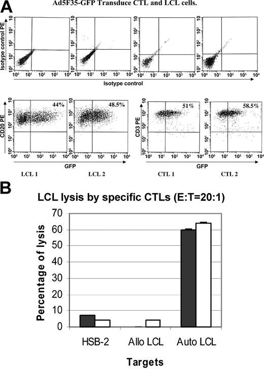 Figure 4. Function of E1-CTLs following transduction with adenovectors. (A) There were 2 CTL and LCL cell lines transduced for 6 hours with Ad5/F35-GFP using 1000 vp per cell. At 24 to 48 hours after infection, the cells were stained with a PE-CD3 or PE-CD20 antibody and analyzed by FACS. The results are expressed as the percentage of cells expressing CD3 and GFP. Ad5F35 transduced 51% to 58.5% of the CTLs and 44% to 48.5% of the LCLs. (B) The killing activity of CTLs is not changed by double transduction. The cytotoxic activity of doubly transduced CTLs (C-RE-AG, □) was compared with nontransduced CTLs (▪). The graph shows the percentage of specific lysis at an effector to target ratio of 20:1 against autologous LCLs, allogeneic LCLs, and a complete HLA class I mismatch control target line (H-2B). Measurement at other ratios (40:1 and 10:1) was also unchanged. Results are shown as mean ± SD.