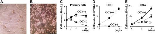 Figure 1. Effects of PBMC-OCs on growth and survival of primary MM cells and MM cell lines. Scanning microscopic images of primary MM cells cultured alone (A) or cocultured with OCs generated from PBMCs from the same patient with MM (B) for 14 days in alpha-MEM containing 10% FBS. Primary MM cells (2 × 105/mL) isolated from a patient with MM (C), an IL-6–dependent MM cell line, OPC (D), or a factor-independent MM cell line, U266 (E), were cultured in quadruplicate in the presence or absence of OCs (1 × 104/mL) derived from healthy individuals. At the indicated time points, viable cell number was determined by trypan blue staining under microscopy. Data were expressed as means ± SD.