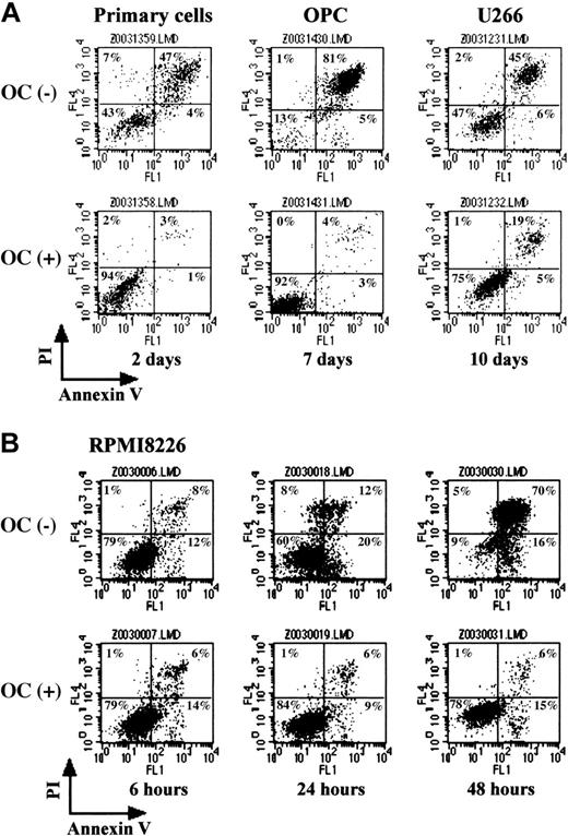 Figure 2. PBMC-OCs protected MM cells from apoptosis. MM cells were cultured in alpha-MEM containing 1% FBS in the presence or absence of PBMC-OCs (1 × 104/mL). Primary MM cells, OPC cells, and U266 cells were harvested after gently pipetting at the indicated time points (A). RPMI8226 cells were harvested sequentially (B). Annexin V–FITC and PI binding was measured by flow cytometry. Intact cells are located in the lower left quadrant of dot plots.