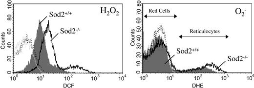 Figure 6. ROS generation by reticulocytes and mature red cells. Peripheral blood cells from Sod2+/+ and Sod2–/– transplant recipients were incubated in the presence of the superoxide-sensitive dye DHE and the peroxide-sensitive dye H2DCFDA for 30 minutes at 37° C, followed by FACS analysis. (Left) Peroxide production by Sod2+/+ red cells and reticulocytes (shaded gray); and Sod2–/– red cells and reticulocytes (black line). (Right) Superoxide production by Sod2+/+ (shaded gray) and Sod2–/– (black line) red cells and reticulocytes. Red cells are the major peak for each histogram, with reticulocytes forming a tail or secondary peak with higher ROS production. Plots shown are representative of 5 mice for each genotype. For each histogram: light gray tracing indicates unstained Sod2+/+ cells; broken black tracing indicates unstained Sod2–/– cells.